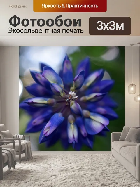 Фотообои Люпин