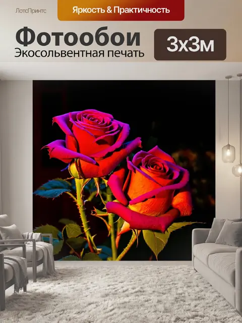 Фотообои розы в художественном стиле, воссоздающие атмосферу дня и ночи, освещённые разными светами
