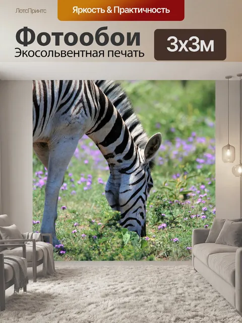 Фотообои Зебра выпас