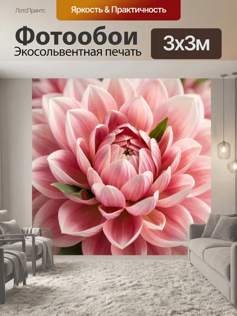 Фотообои Розовые цветы крупным планом