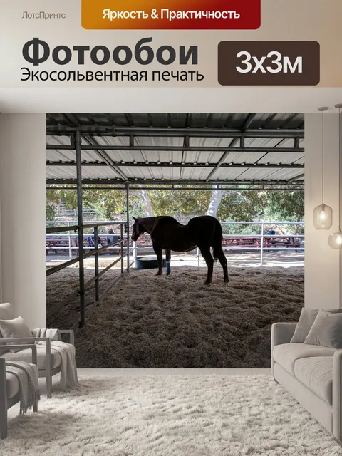Фотообои Старая лошадь со сломанной спиной