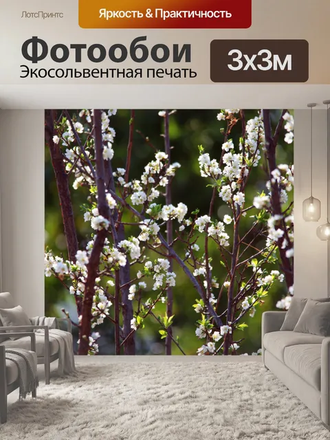 Фотообои веточки с белыми цветами