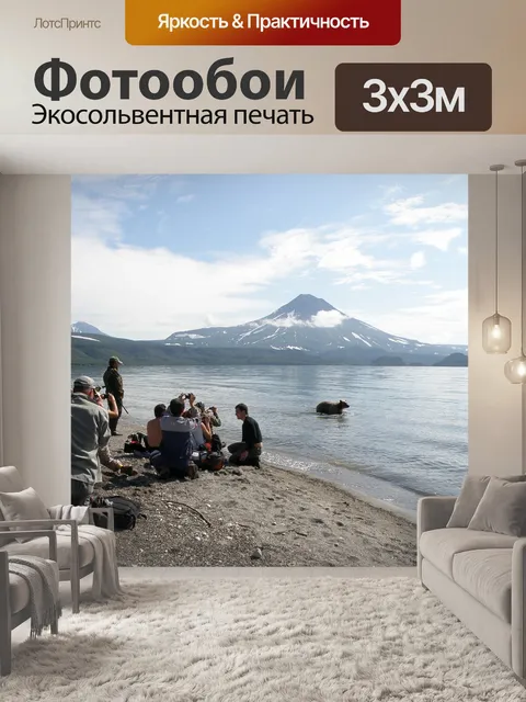 Фотообои Бурый медведь