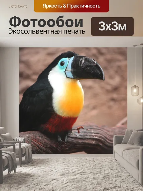 Фотообои Птица