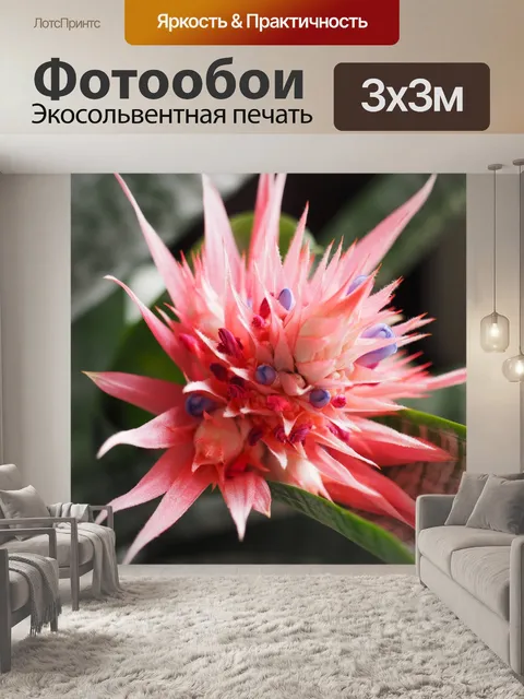 Фотообои Бромелию