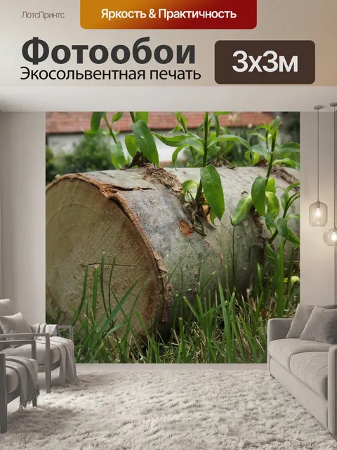 Фотообои Вуд