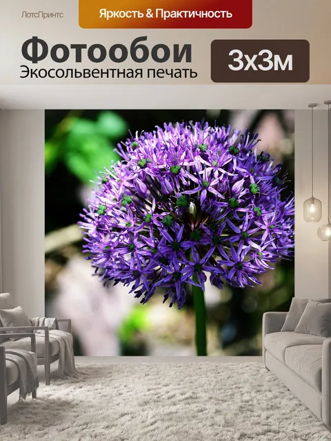 Фотообои Цветок