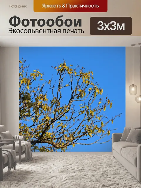 Фотообои желтые листья осенью
