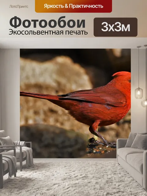 Фотообои Птица