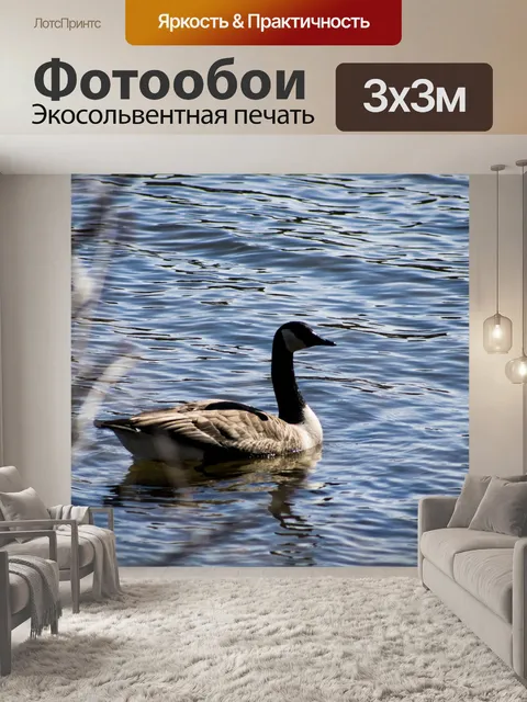 Фотообои Гусь
