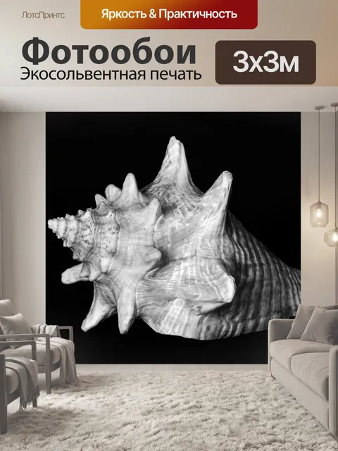Фотообои Устрицы