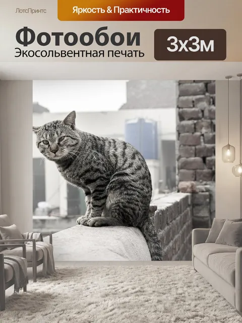 Фотообои Кошка