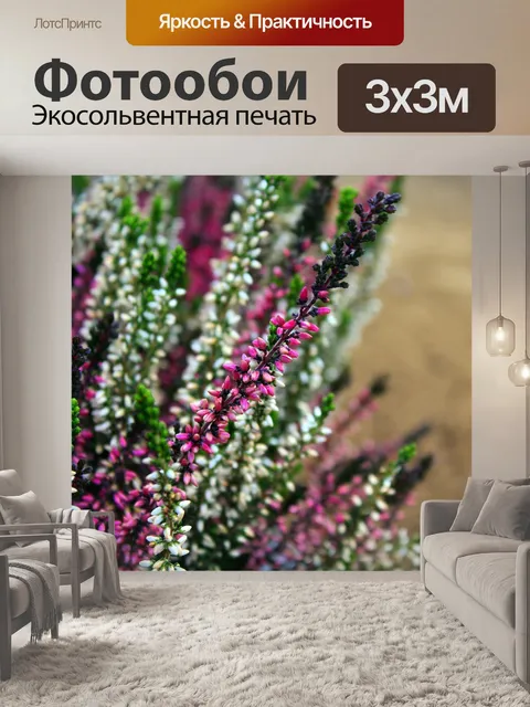 Фотообои Вереск