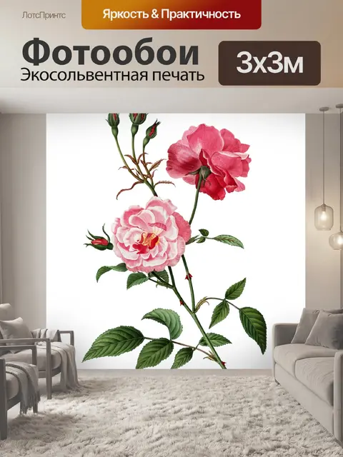 Фотообои Винтаж Клипарт Розы Цветы