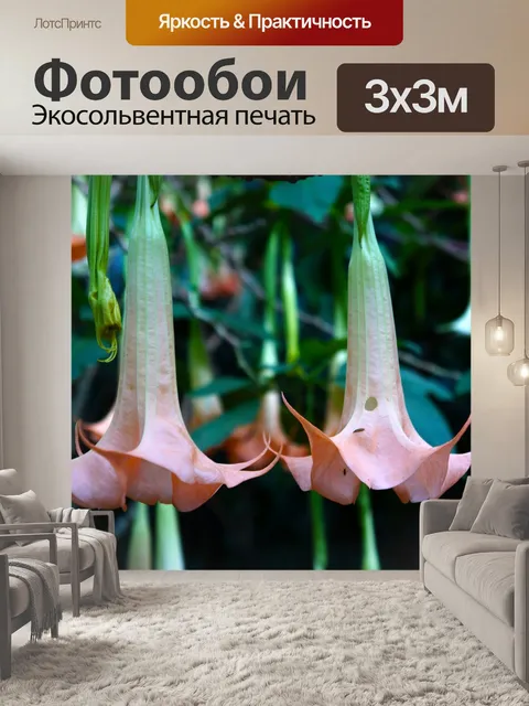 Фотообои Площадка