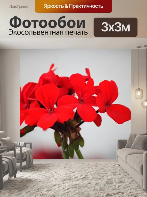 Фотообои Красная цветочная головка герани в саду