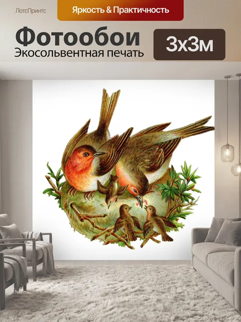Фотообои Иллюстрация винтажного искусства птиц