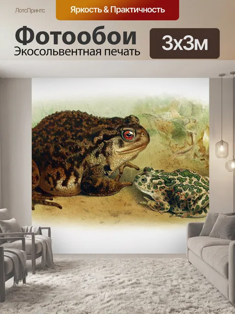Фотообои Лягушки литография винтажное искусство