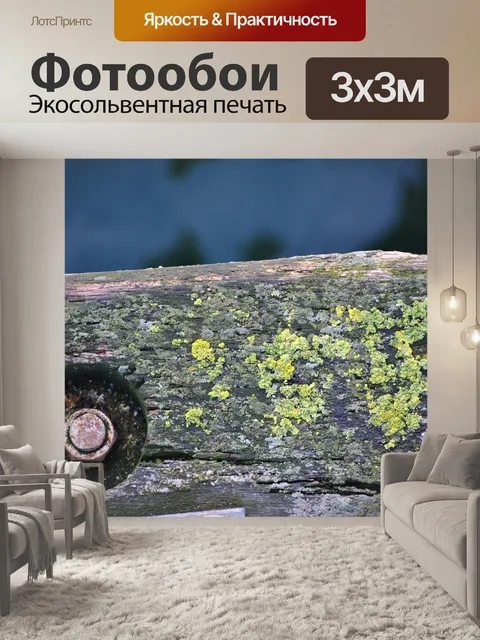 Фотообои Древесина