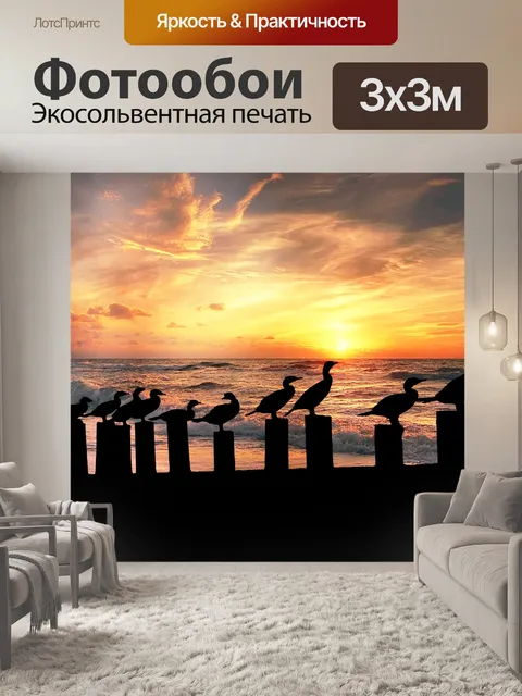 Фотообои Птица Силуэт Сансет Бич