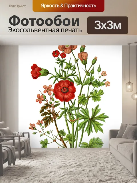 Фотообои Полевые цветы Винтаж ботаническое искусс