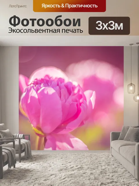 Фотообои Пион