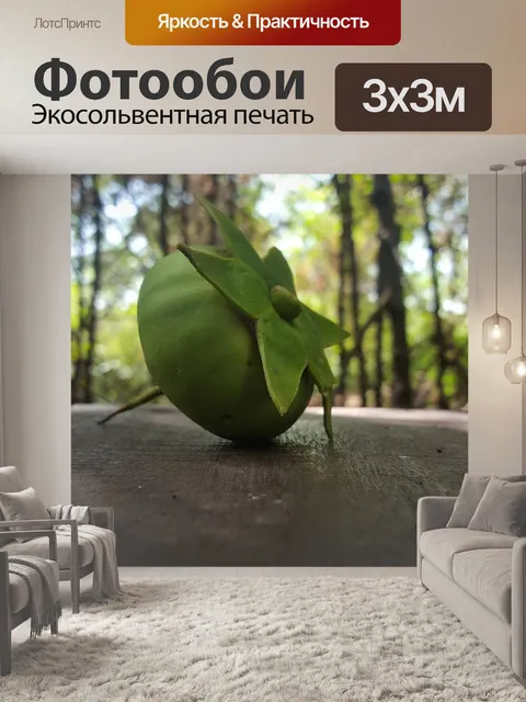 Фотообои Мангровые