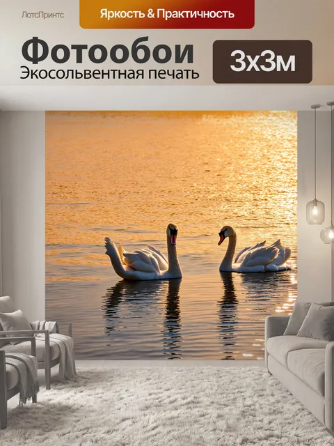 Фотообои лебеди на озере в закатных лучах солнца