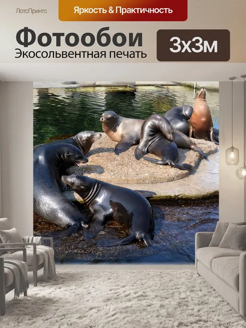 Фотообои Морские львы 2