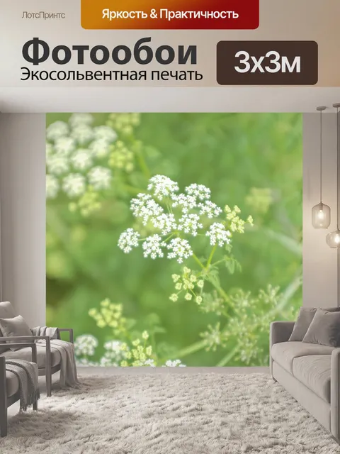 Фотообои Зеленые растения 1