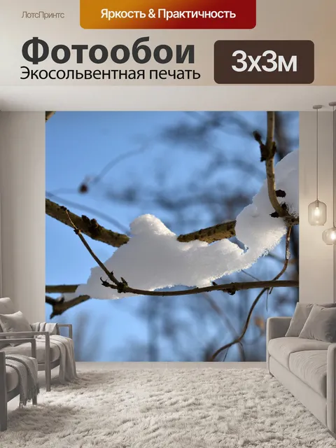 Фотообои Зима
