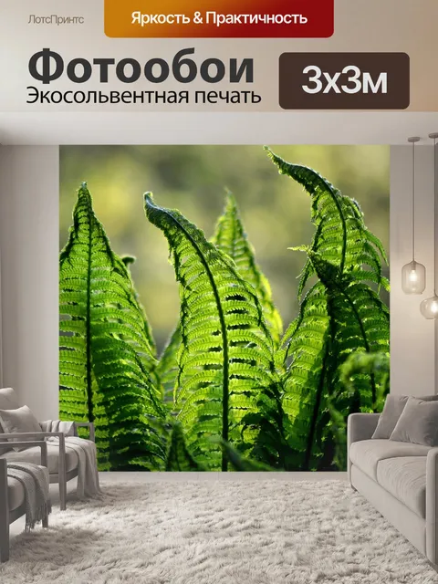 Фотообои Папоротники