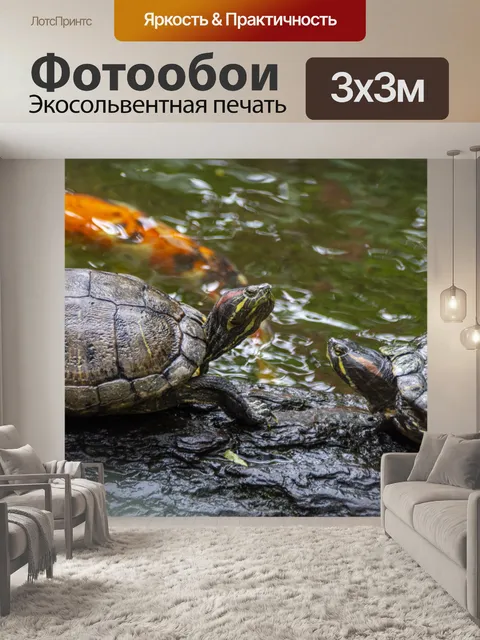 Фотообои черепахи