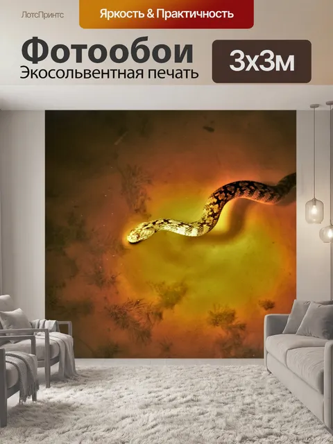 Фотообои Водный мокасин в озере ночью
