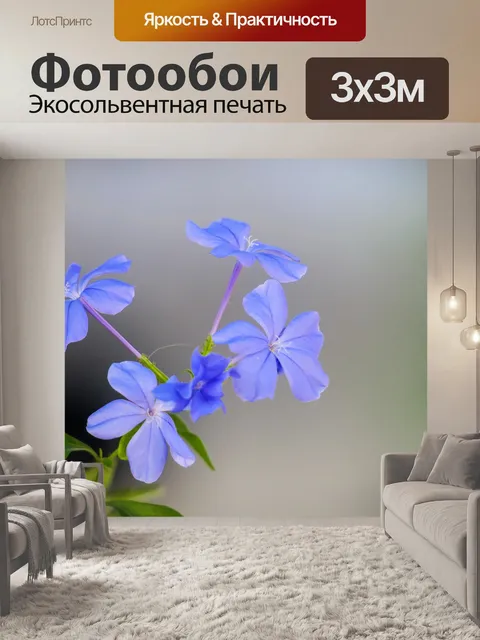 Фотообои Голубой цветок дэн