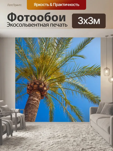 Фотообои Пальма и голубое небо