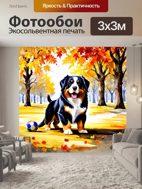 Фотообои бернский зенненхунд играющий с мячом в парке, окружённом осенними листьями