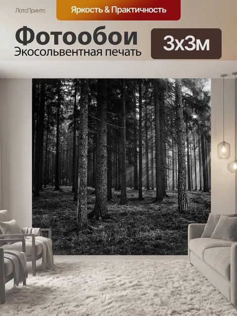 Фотообои солнечные лучи в лесу III