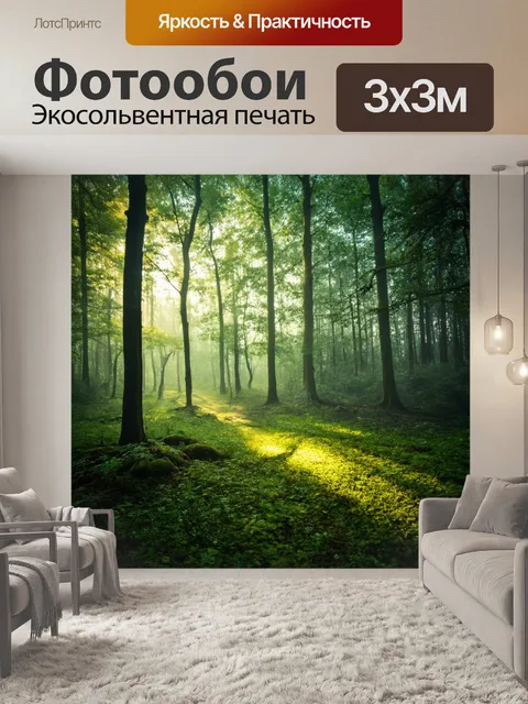 Фотообои лес с блестящими каплями росы в утреннем свете