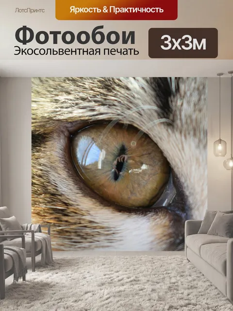 Фотообои Глаз моей кошки и я
