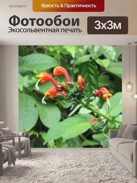 Фотообои Цветы