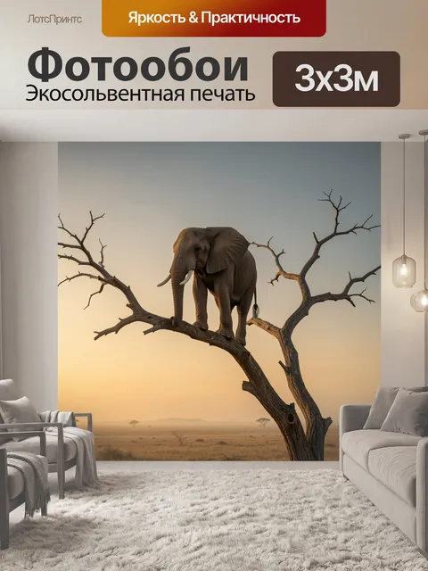 300 × 300 см · Экосольвентная печать