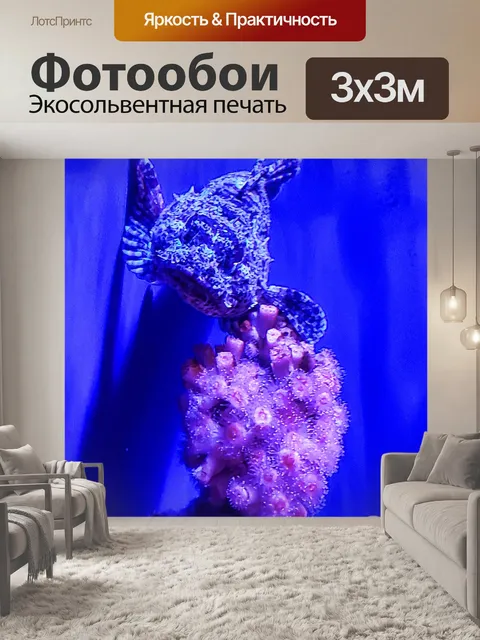 Фотообои каменная рыба