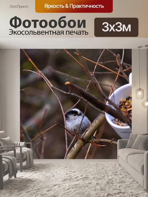 Фотообои Птица