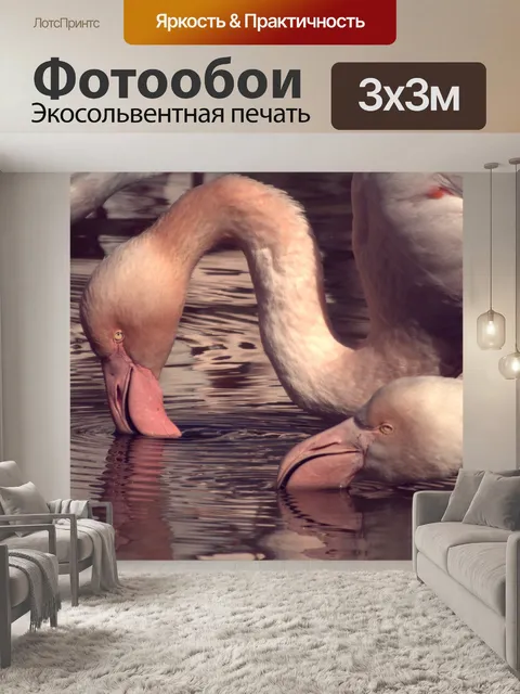 Фотообои Фламинго