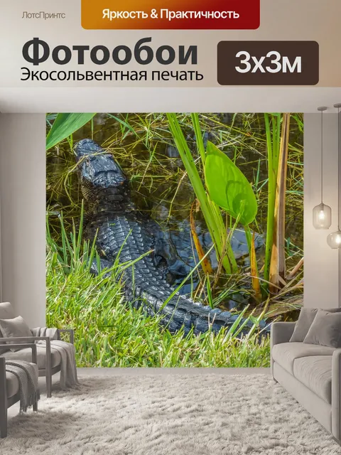 Фотообои молодой аллигатор