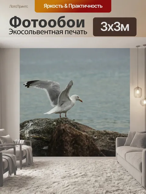 Фотообои Чайка