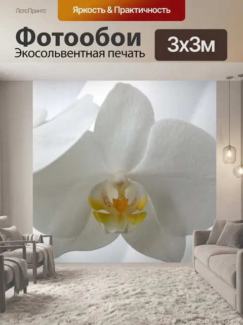 Фотообои Бабочки орхидеи