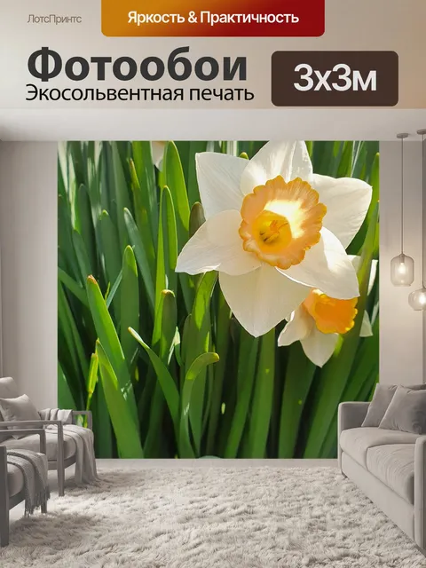 Фотообои Нарциссы