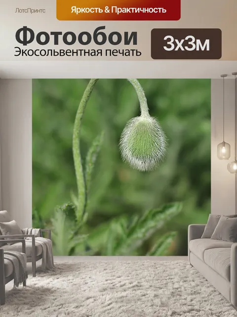 Фотообои Мак